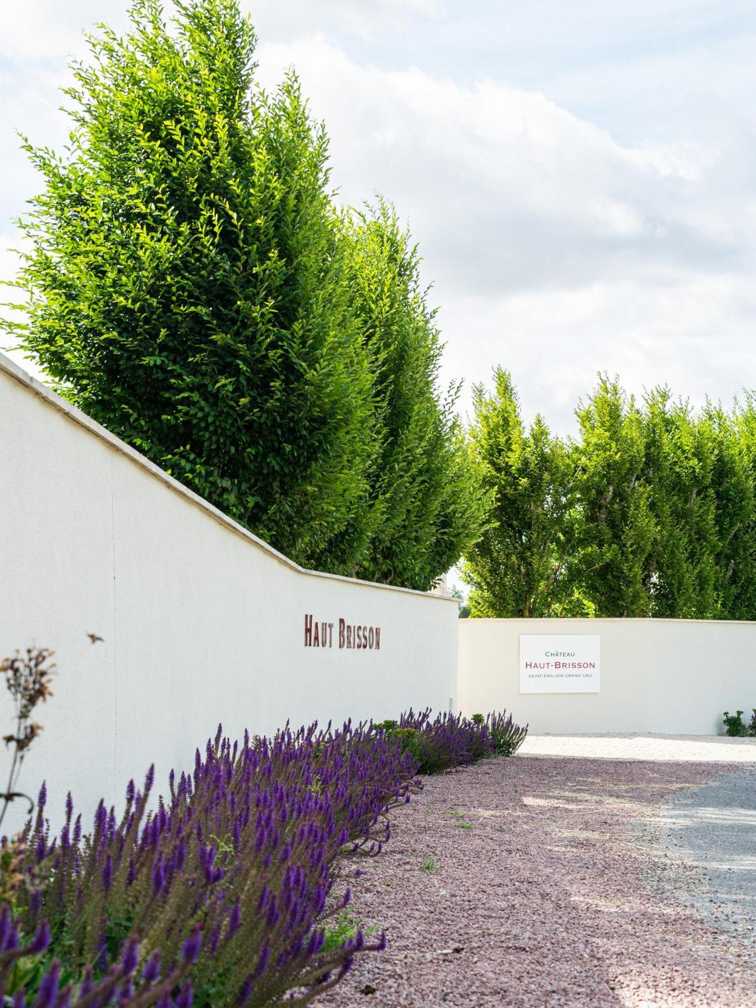 Chateau Haut-Brisson Vignonet Exterior photo